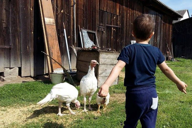 pasiaki świętokrzyskie, świętokrzyska wieś, świętokrzyskie jakie cudne, harcerski rajd świętokrzyski
