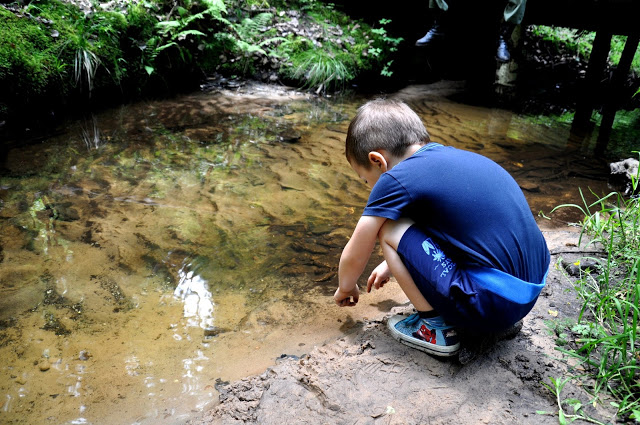 pasiaki świętokrzyskie, świętokrzyska wieś, świętokrzyskie jakie cudne, harcerski rajd świętokrzyski
