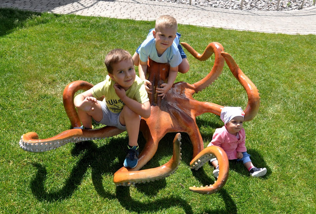 polanica, oceanika, chrusty, zagnańsk, świętokrzyska polana