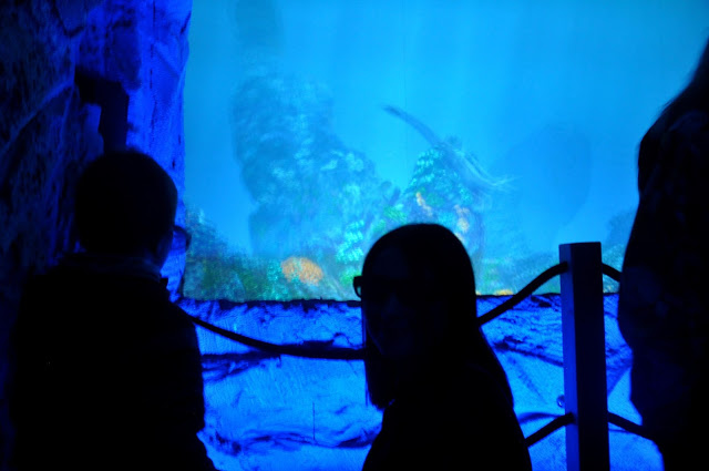 jurapark, bałtów, oceanarium