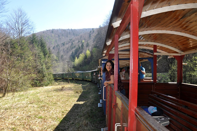 bieszczadzka kolejka leśna