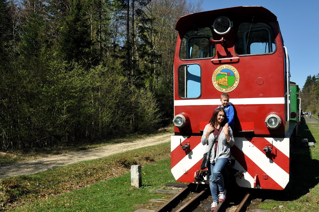 bieszczadzka kolejka leśna