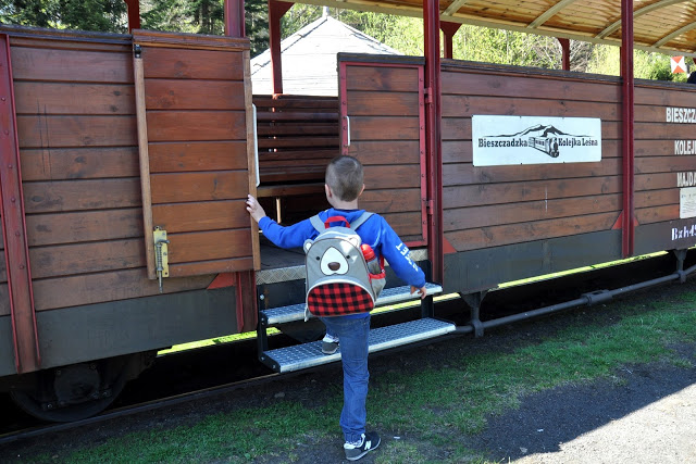 bieszczadzka kolejka leśna