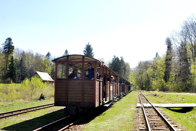 bieszczadzka kolejka leśna