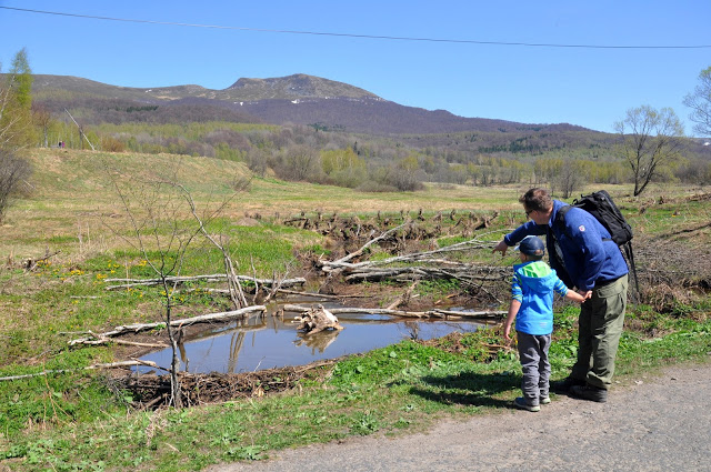 wołosate żeremia bobrów