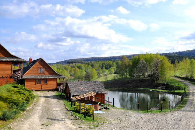 danfarm nocleg ustrzyki dolne 