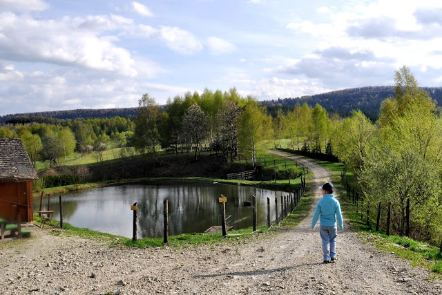 danfarm nocleg ustrzyki dolne