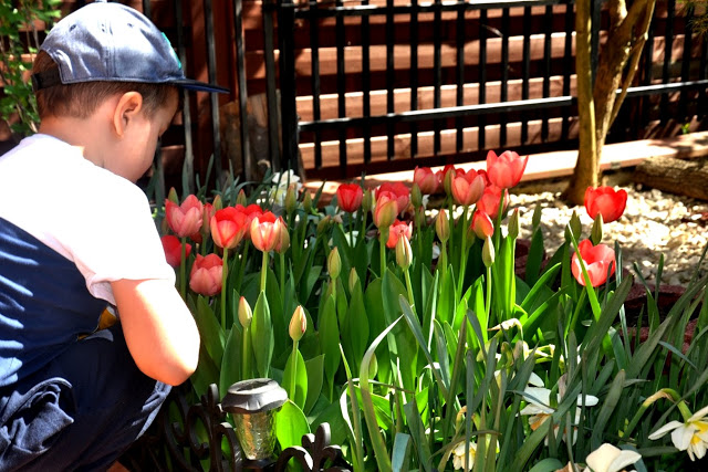 zabawki ogrodowe bosh zabawki na dwór
