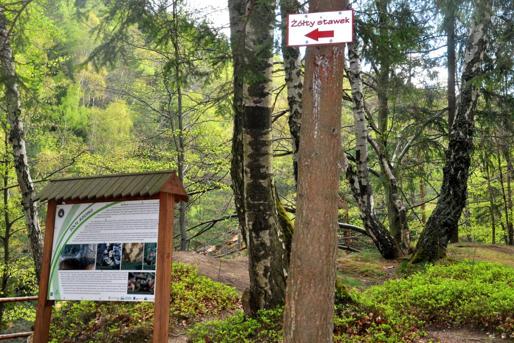 Kolorowe Jeziorka w Rudawach Janowickich
