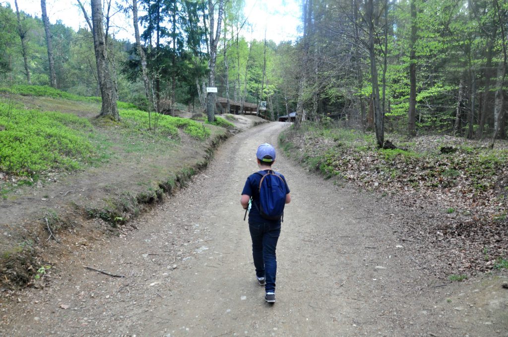 Kolorowe Jeziorka w Rudawach Janowickich Kolorowe Jeziorka w Rudawach Janowickich