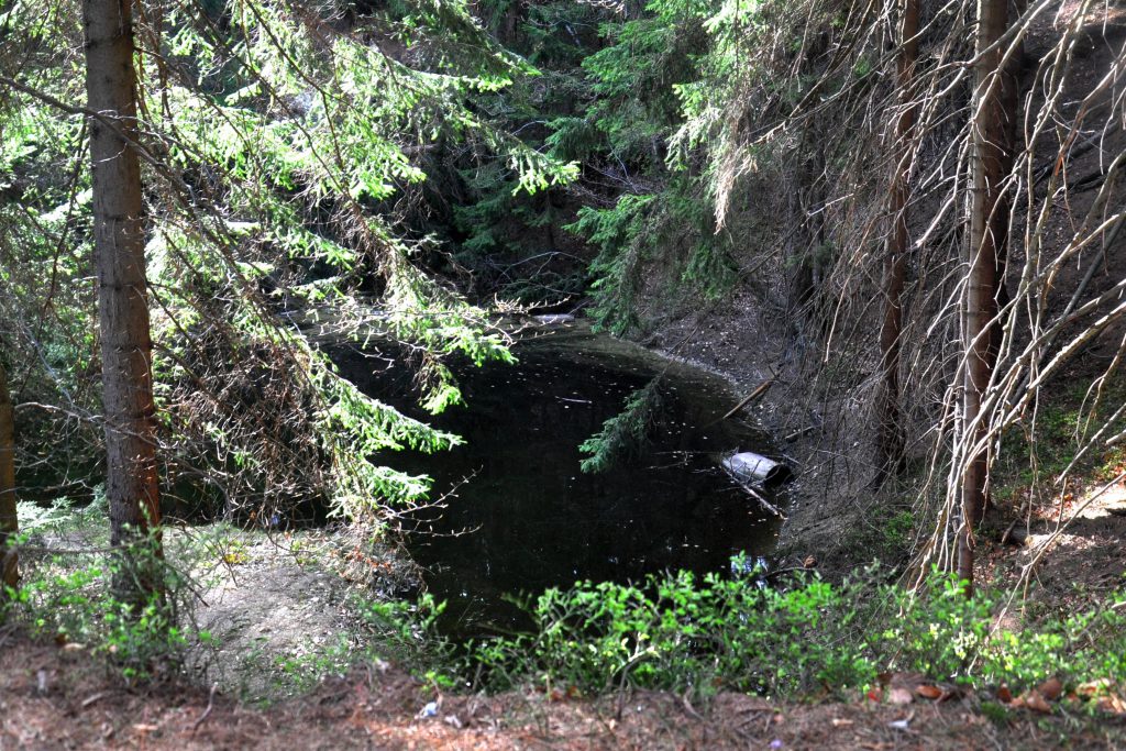 Zielone Jeziorko w Rudawach Janowickich
