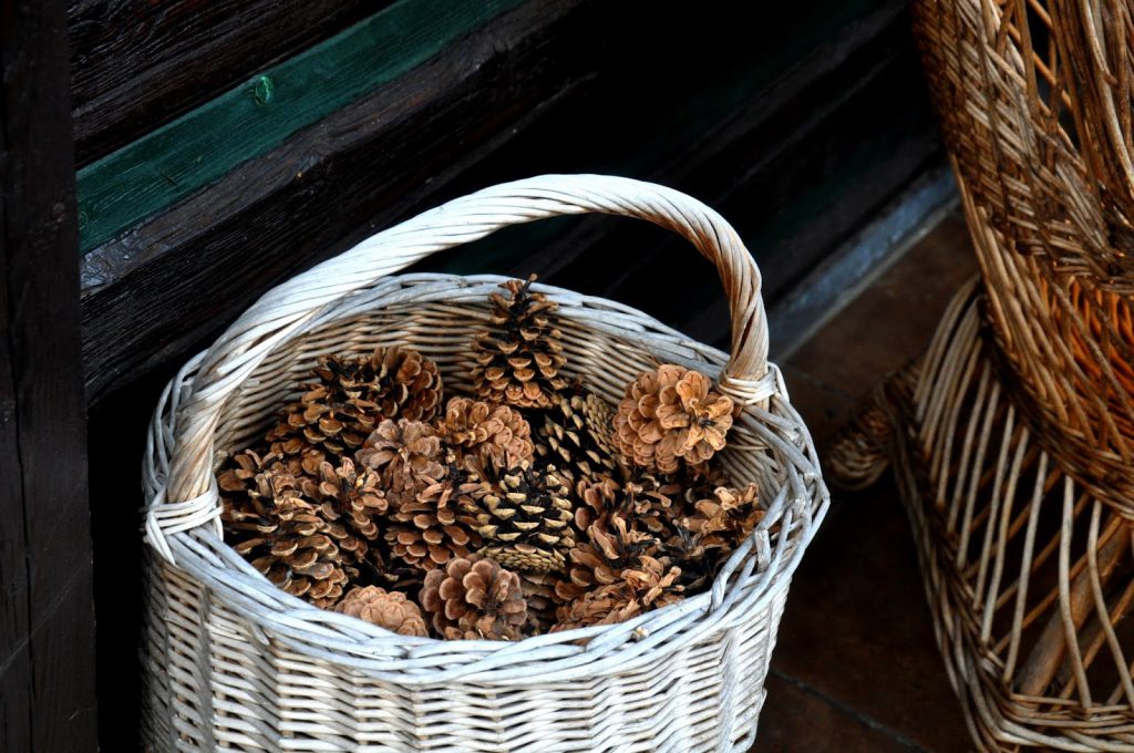 Karkonosze domki nad stawem
