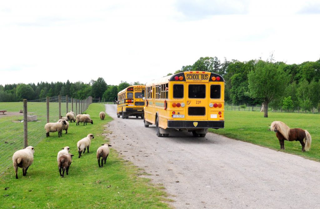Zwierzyniec Bałtowski