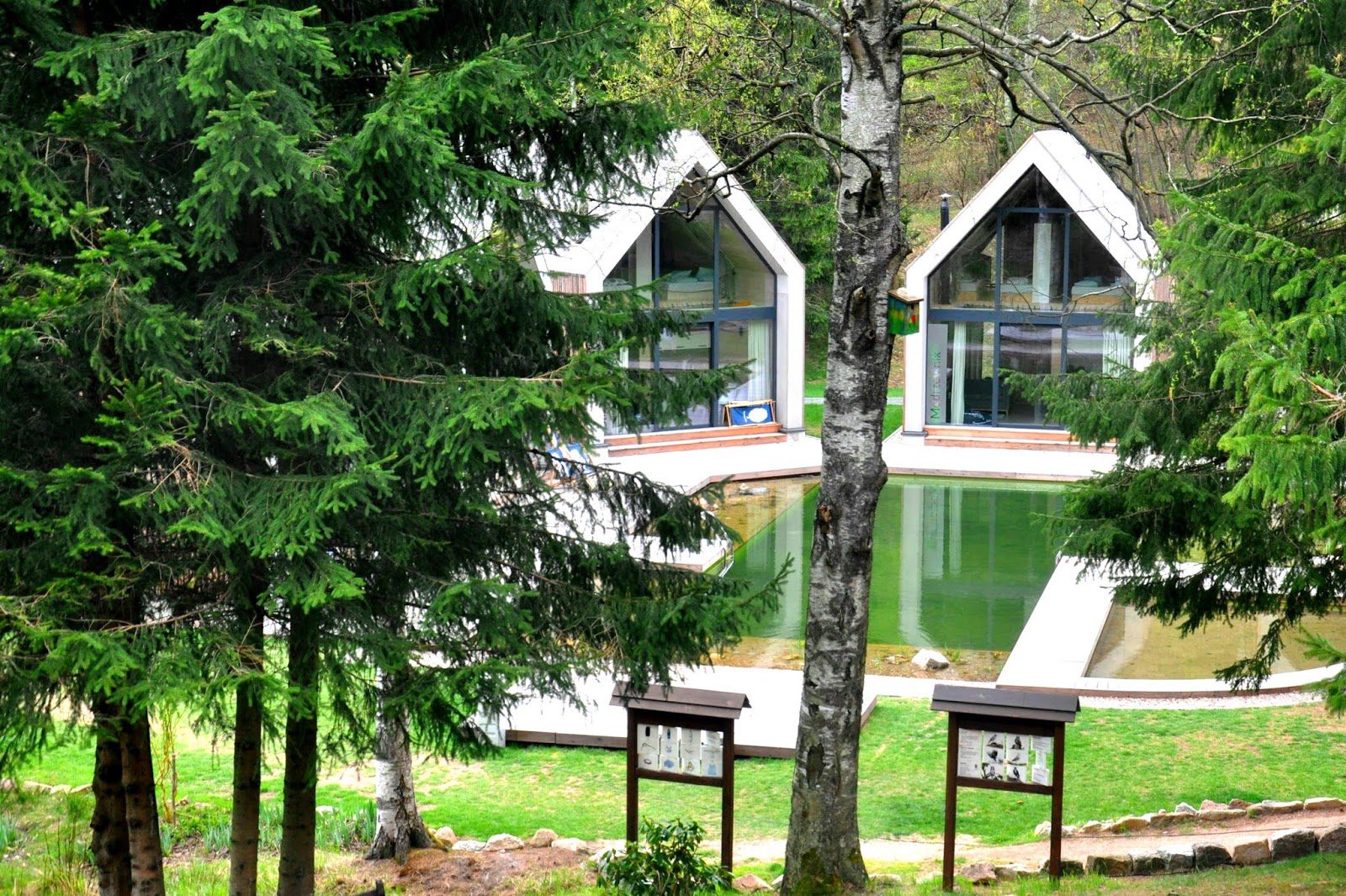 Domki w Karkonoszach nad stawem